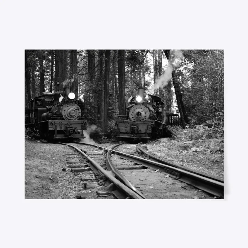 Logging Steam Locomotives in the Forest