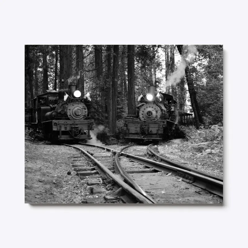 Logging Steam Locomotives in the Forest